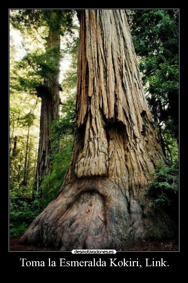 Toma la Esmeralda Kokiri, Link. -