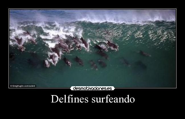 carteles fefeeeweweewewewew desmotivaciones