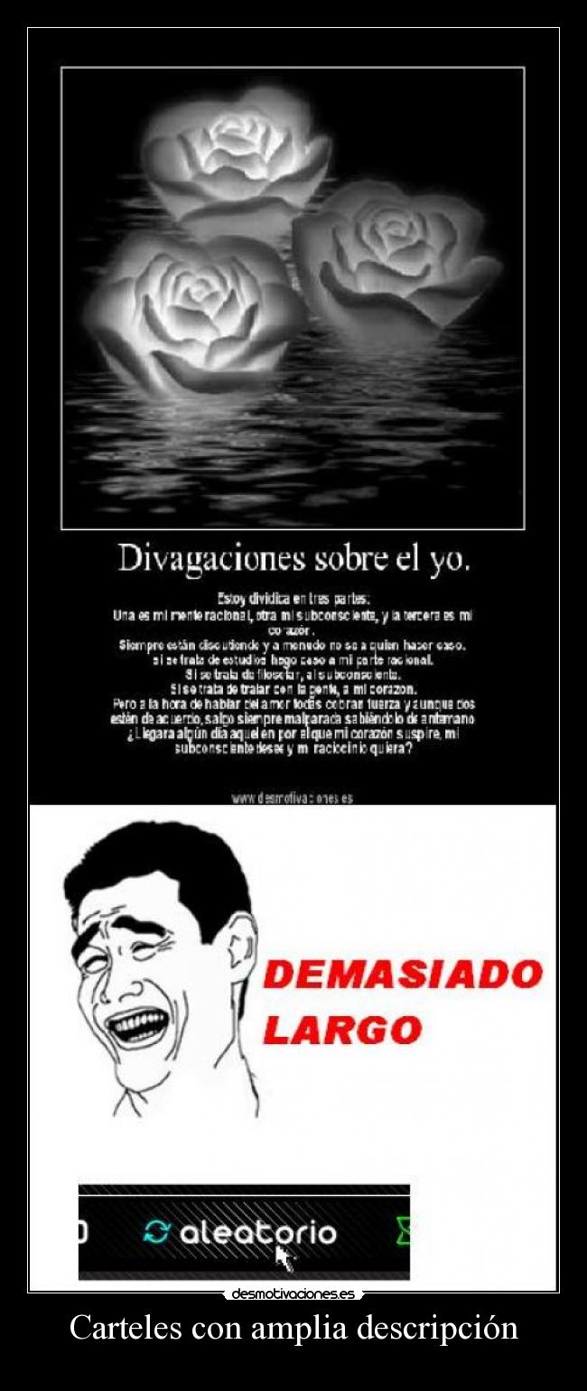 Carteles con amplia descripción -