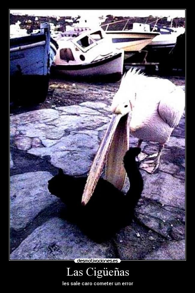 Las Cigüeñas - les sale caro cometer un error