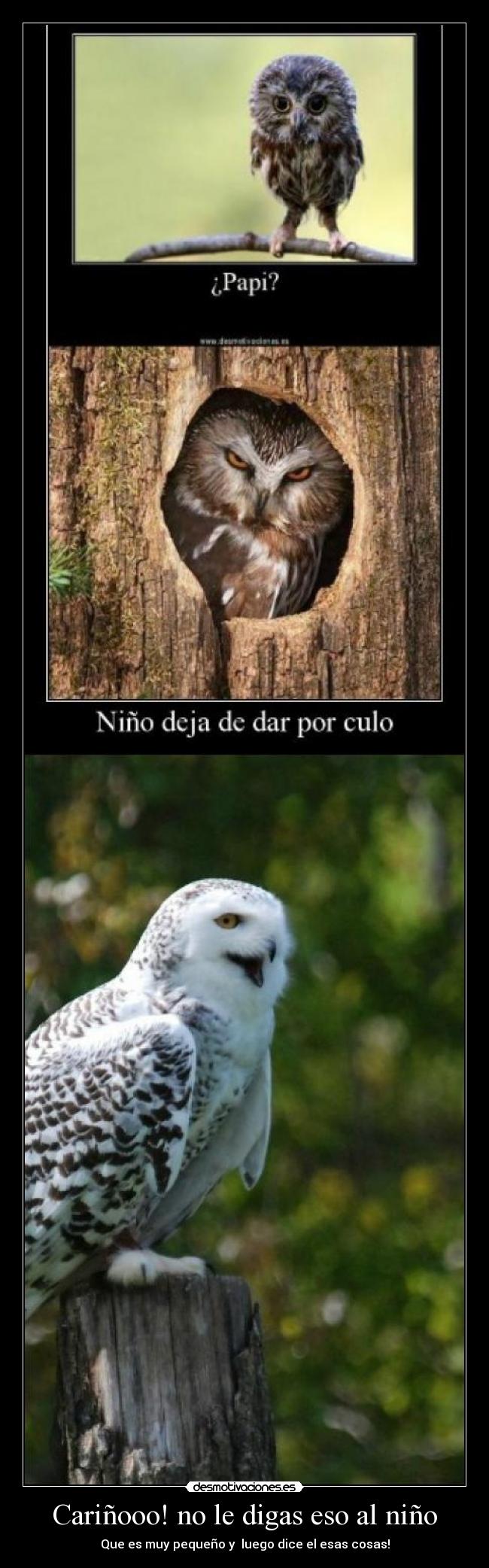 Cariñooo! no le digas eso al niño - Que es muy pequeño y  luego dice el esas cosas!