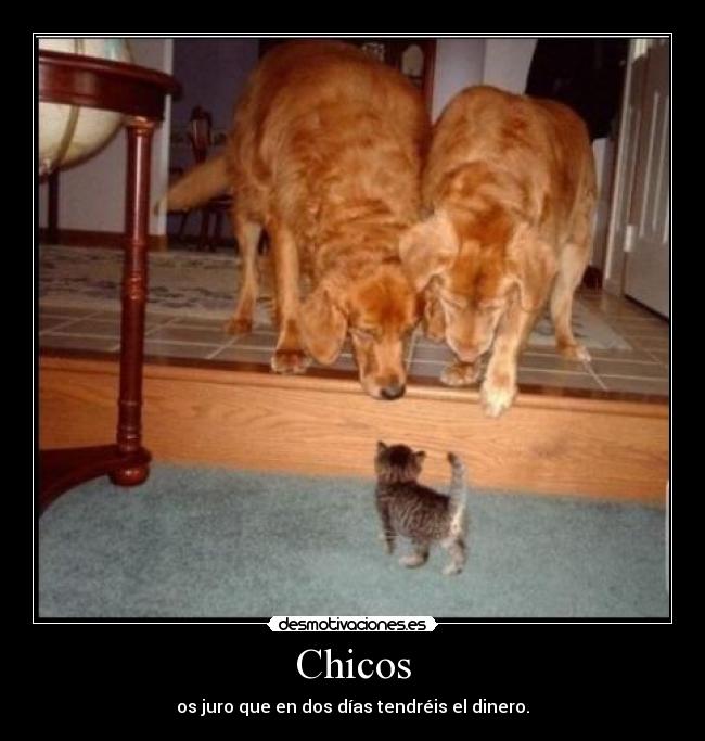 Chicos - os juro que en dos días tendréis el dinero.