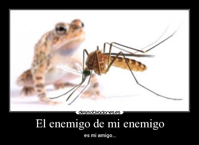 carteles enemigo enemigo fuckin mosquitos desmotivaciones