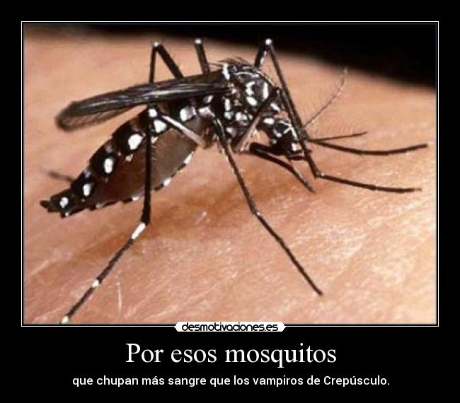 Por esos mosquitos -