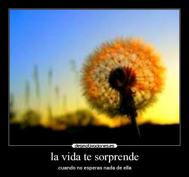 la vida te sorprende - 