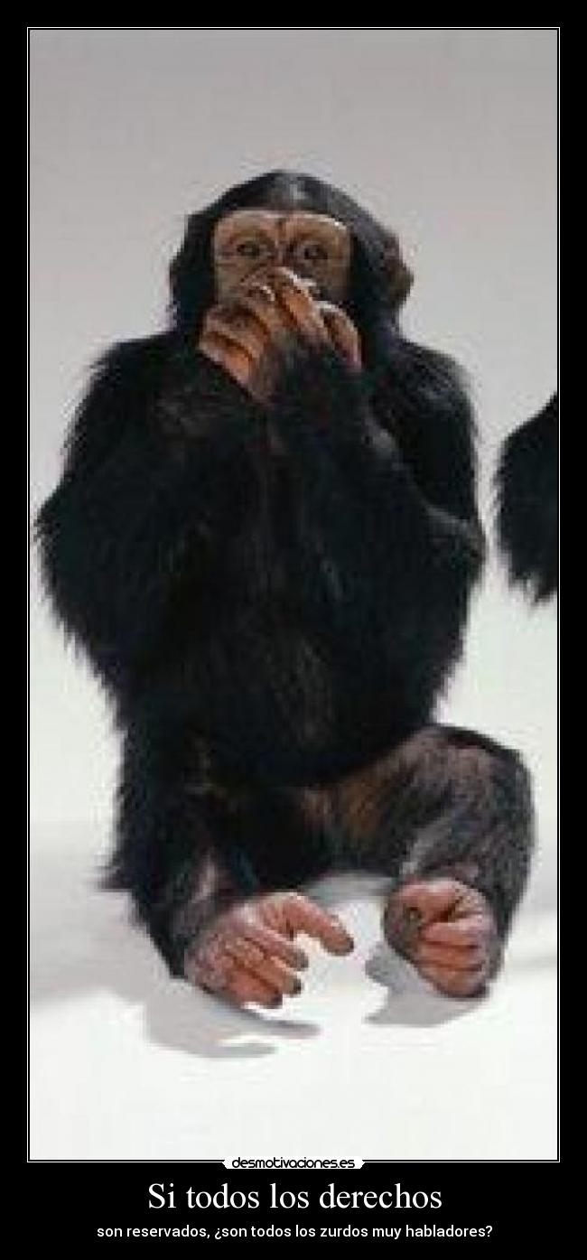 Si todos los derechos - son reservados, ¿son todos los zurdos muy habladores?