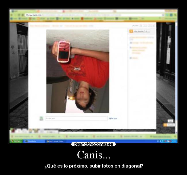 Canis... - 
