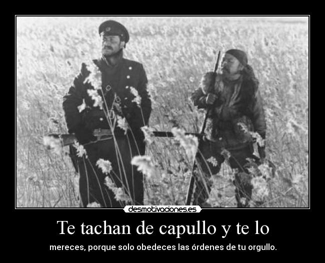 Te tachan de capullo y te lo -