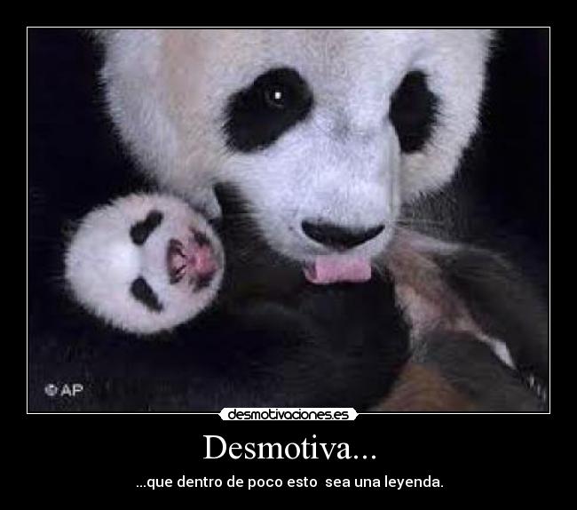 Desmotiva... - 
