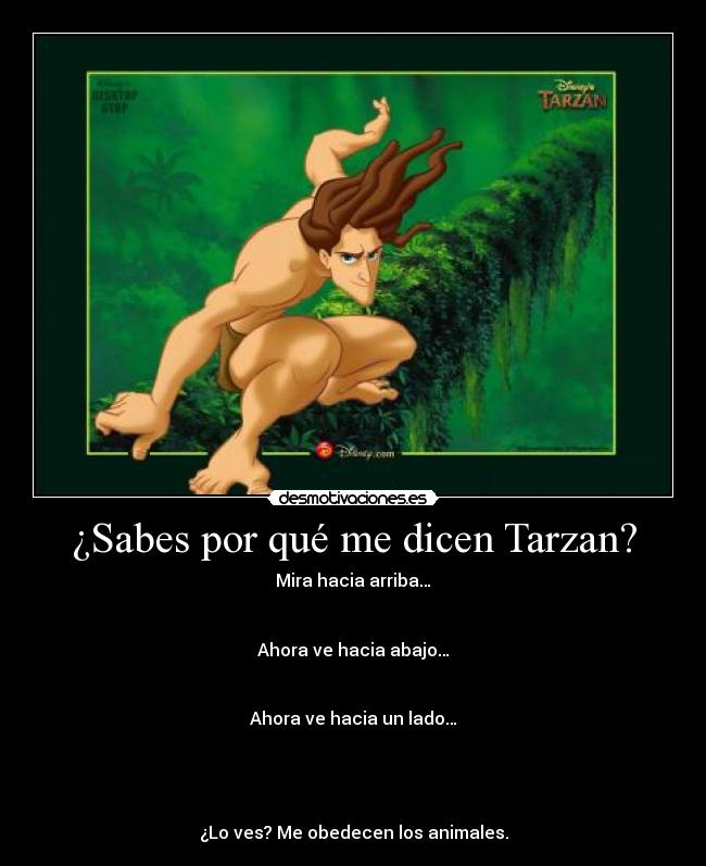 ¿Sabes por qué me dicen Tarzan? - Mira hacia arriba…
Ahora ve hacia abajo…
Ahora ve hacia un lado…
¿Lo ves? Me obedecen los animales.