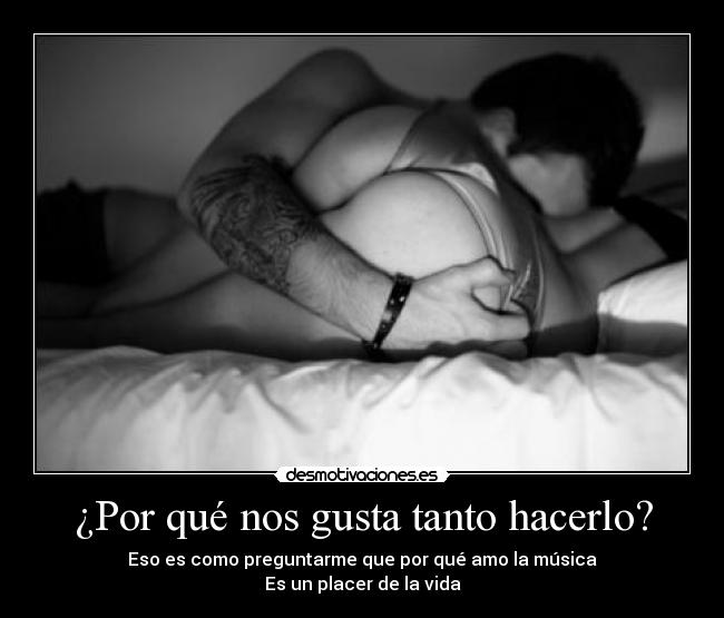 carteles placeres varios desmotivaciones