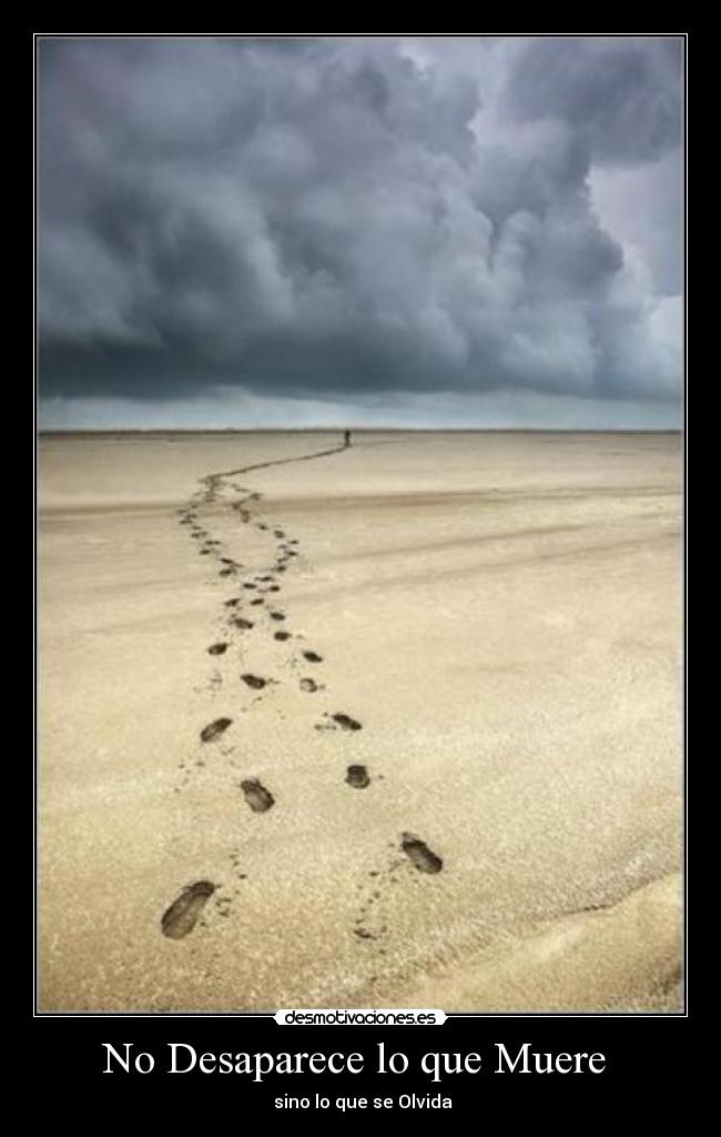 carteles desaparecer desmotivaciones