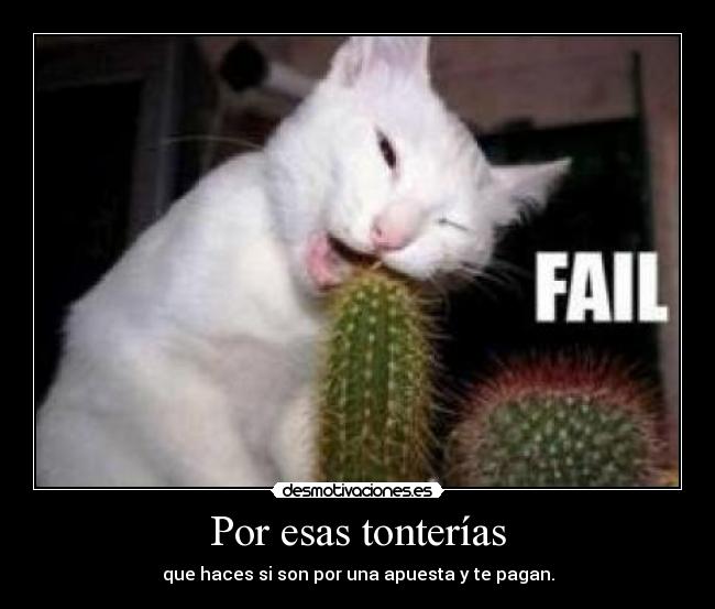 Por esas tonterías - 