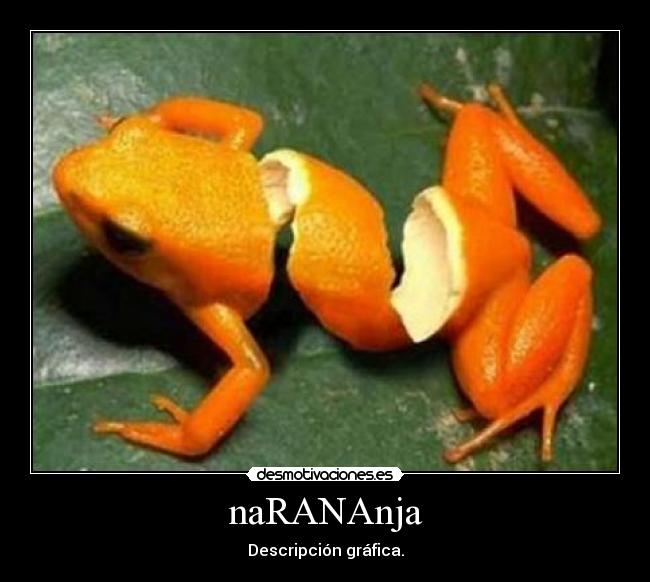 naRANAnja - Descripción gráfica.