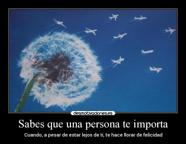 carteles personas desmotivaciones