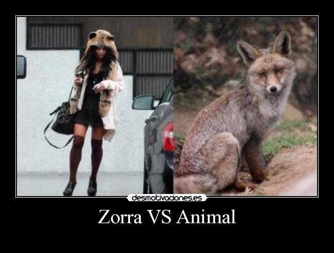Zorra VS Animal -