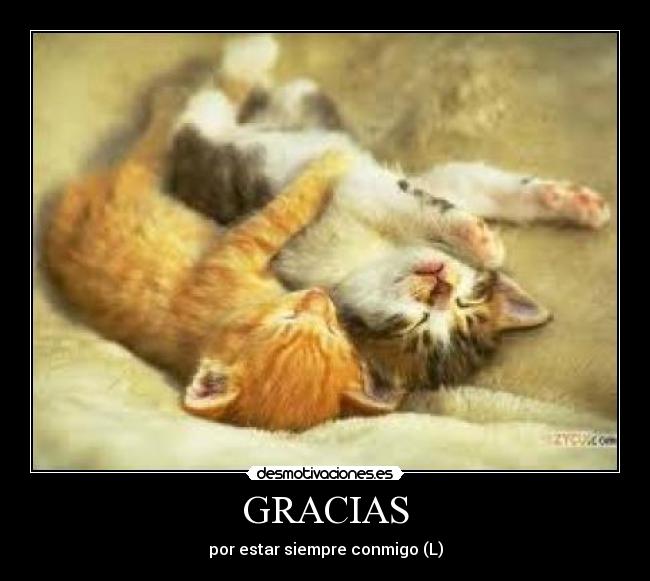 GRACIAS -