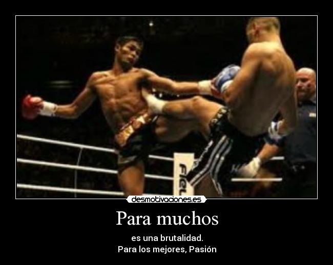 carteles kick boxing pasion amor desmotivaciones