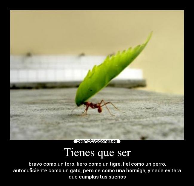 Tienes que ser - bravo como un toro, fiero como un tigre, fiel como un perro,
autosuficiente como un gato, pero se como una hormiga, y nada evitará
que cumplas tus sueños
