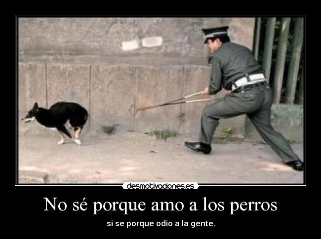 No sé porque amo a los perros - 