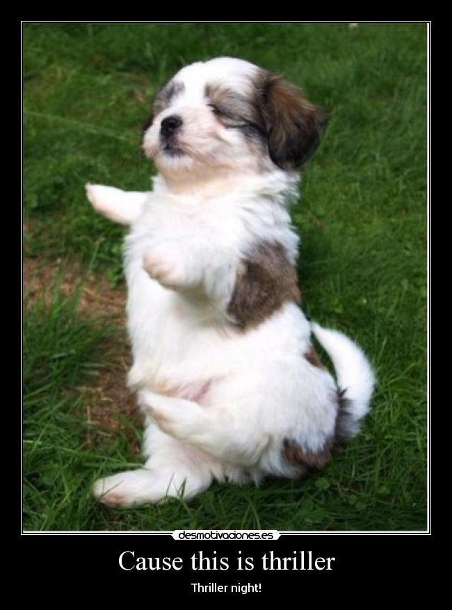 Cause this is thriller - 