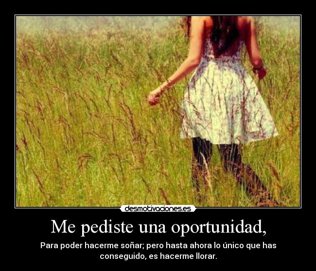 Me pediste una oportunidad, -