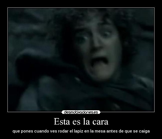 Esta es la cara - que pones cuando ves rodar el lapiz en la mesa antes de que se caiga