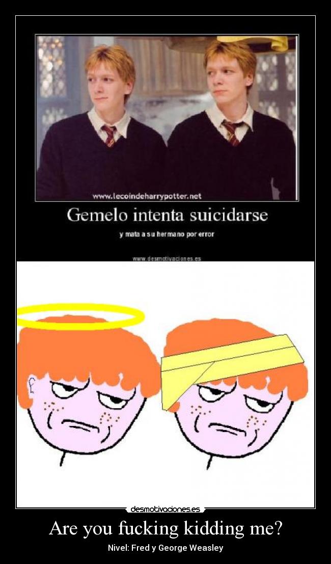 Are you fucking kidding me? - 