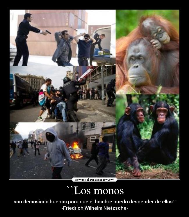 ``Los monos - son demasiado buenos para que el hombre pueda descender de ellos´´
-Friedrich Wilhelm Nietzsche-