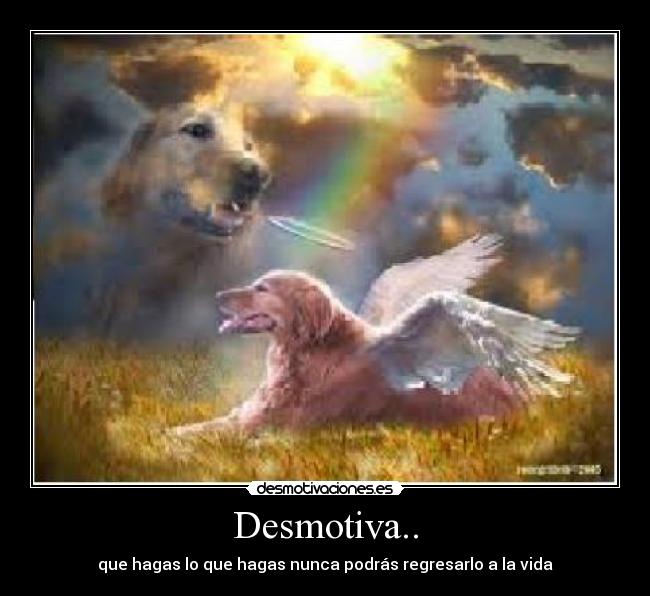 Desmotiva.. - 