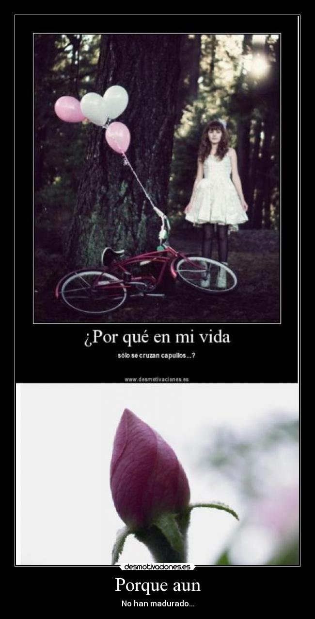 Porque aun - No han madurado...
