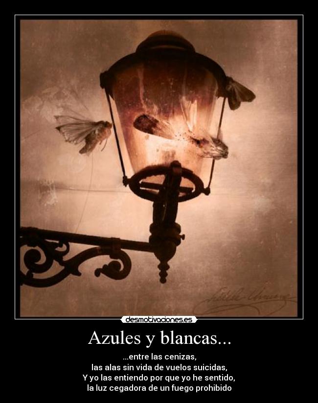 carteles bacilos guerras perdidas polillas suicidas fuego prohibido calarat desmotivaciones