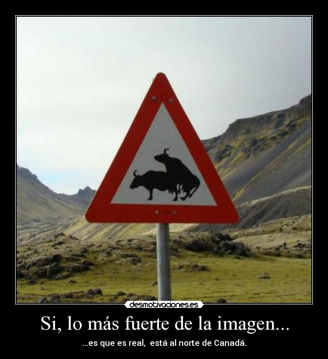 Si, lo más fuerte de la imagen... -