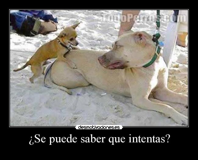 carteles lol desmotivaciones