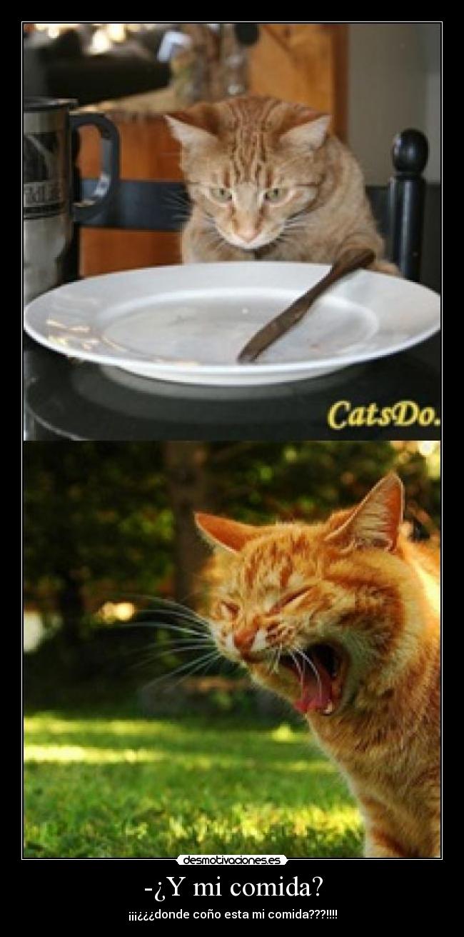 -¿Y mi comida? - 