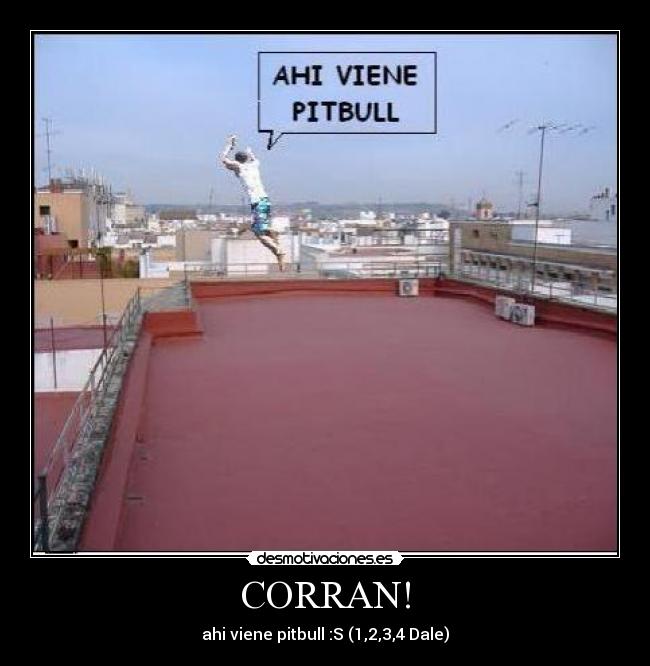 CORRAN! -
