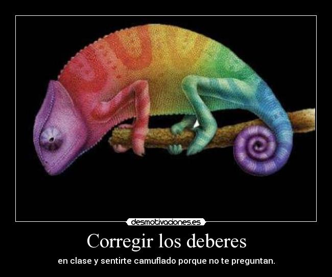 Corregir los deberes - 