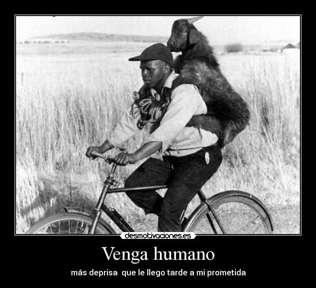 Venga humano -