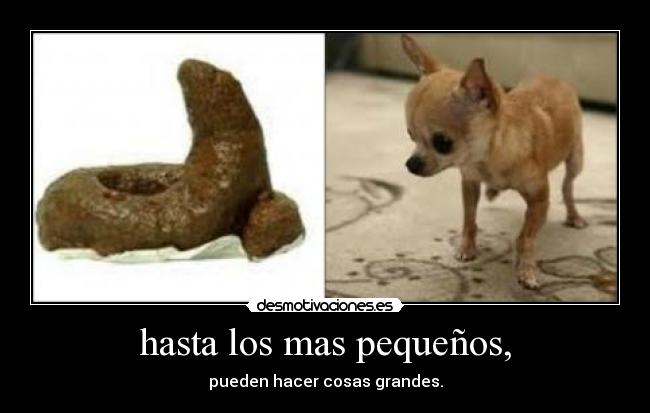 carteles fjhyuyjghdrrsdtdesmotivains desmotivaciones