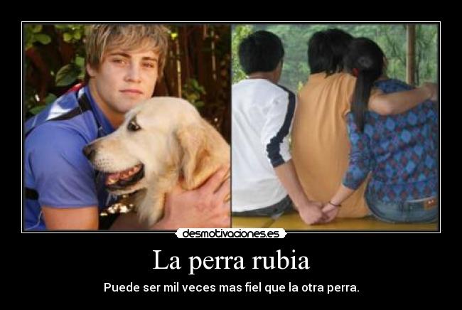 La perra rubia - Puede ser mil veces mas fiel que la otra perra.