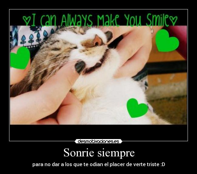 Sonrie siempre - para no dar a los que te odian el placer de verte triste :D