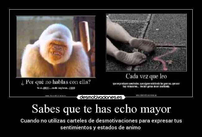 Sabes que te has echo mayor - Cuando no utilizas carteles de desmotivaciones para expresar tus
sentimientos y estados de animo