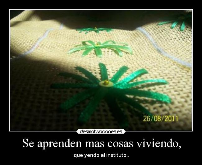 Se aprenden mas cosas viviendo, - 