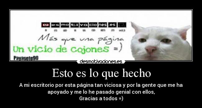 Esto es lo que hecho - 