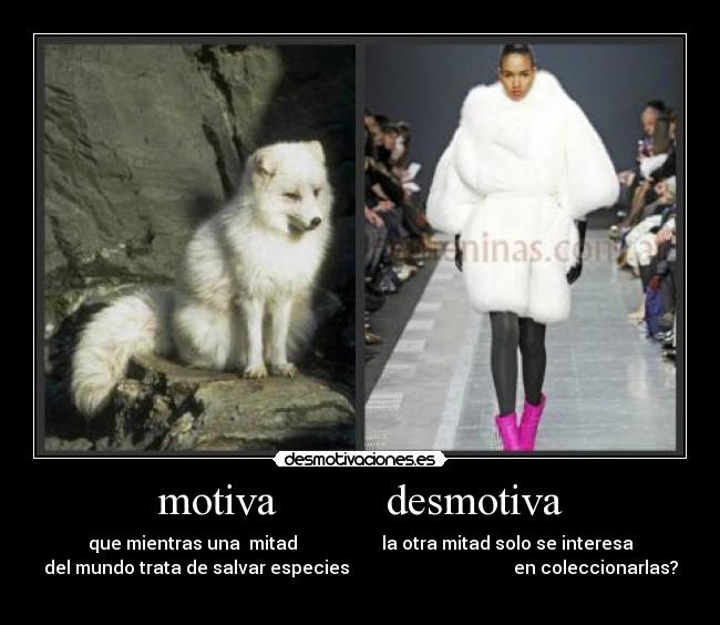 motiva desmotiva -