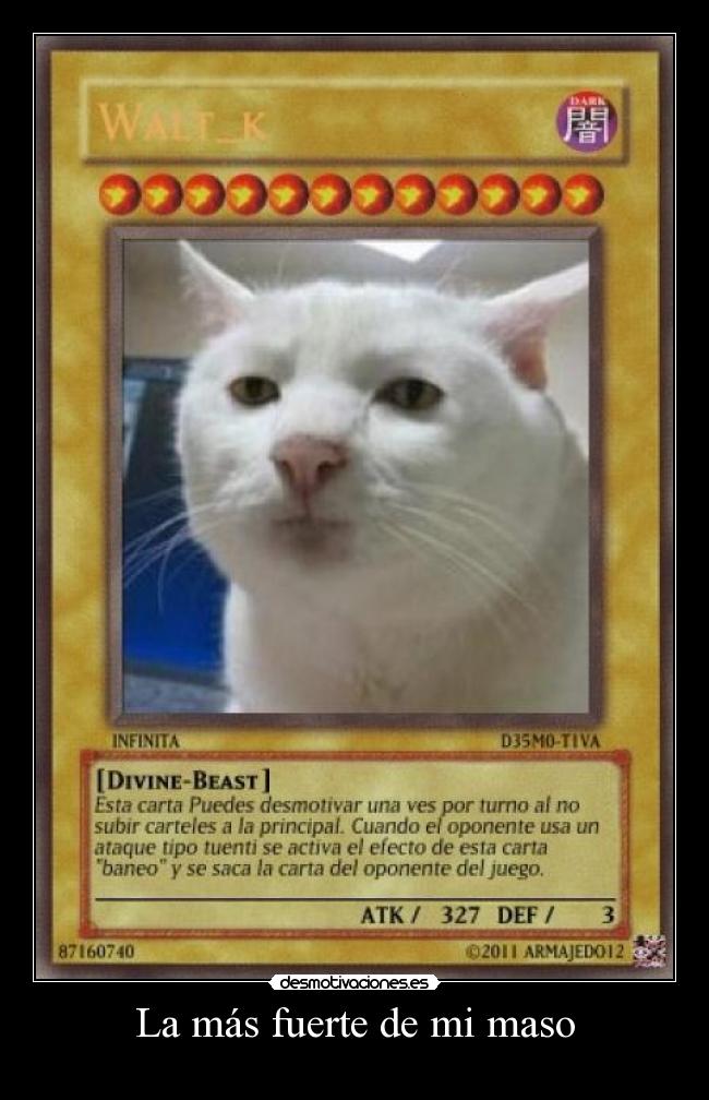 La más fuerte de mi maso - 