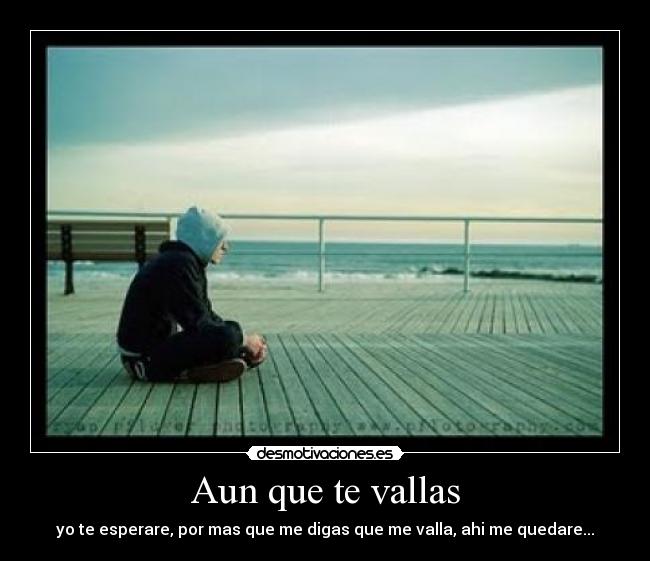 Aun que te vallas - yo te esperare, por mas que me digas que me valla, ahi me quedare...