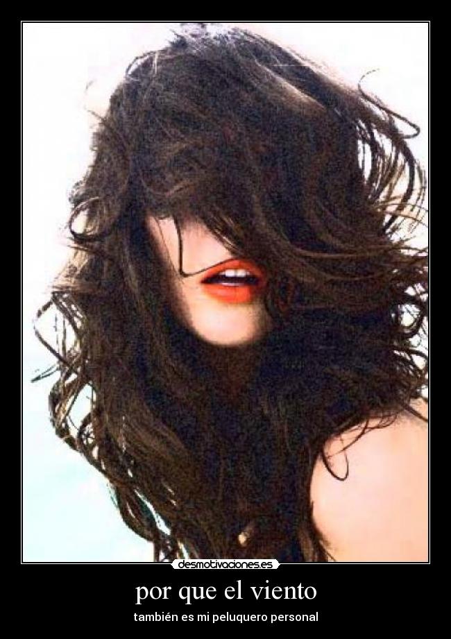 por que el viento - también es mi peluquero personal