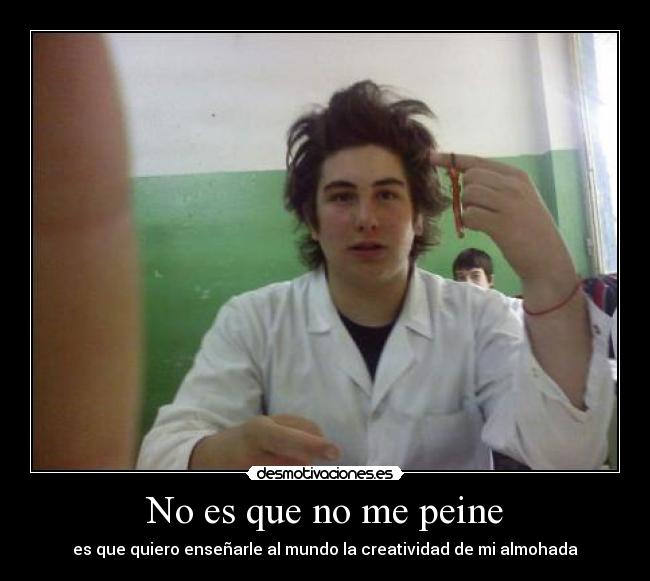 No es que no me peine - es que quiero enseñarle al mundo la creatividad de mi almohada