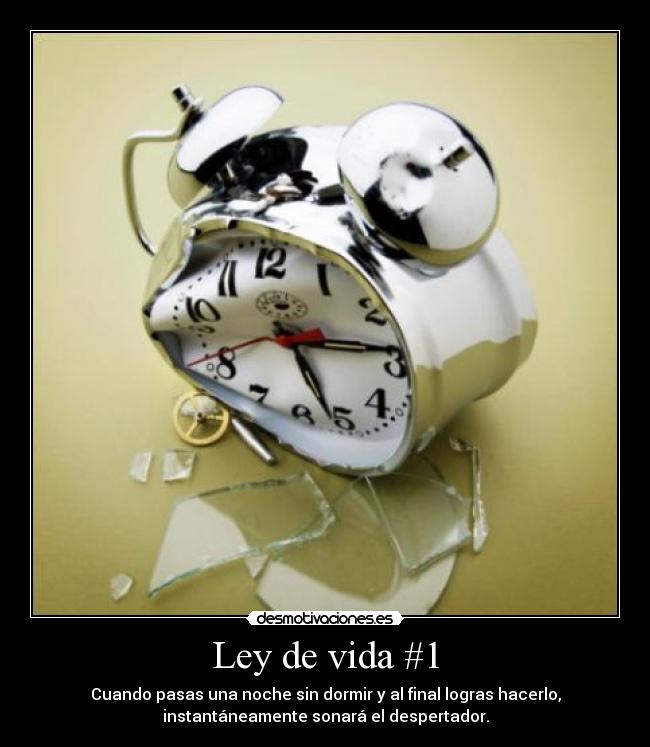 Ley de vida #1 - 